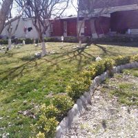 1000 متر باغ ویلای مشجر سنددار در شهریار