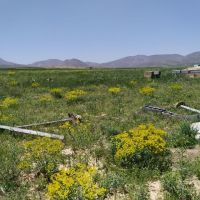 یک زمین کشاورزی در منطقه آتاقی سیمین