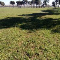 فروش زمین کشاورزی در بجنورد شهرستان اسفراین