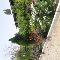 فروش باغ ۱۰۰۰ متری