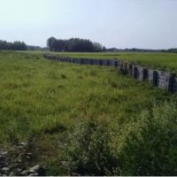 زمین 752 متری حومه لاهیجان | لاهیجان، بیربنه