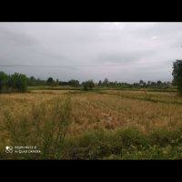 زمین مسکونی و کشاورزی سراوان رشت