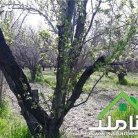 فروش باغ 500 متری 4 دیوار در لم آباد ملارد