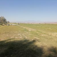 اجاره زمین کشاورزی و شیلات فعال
