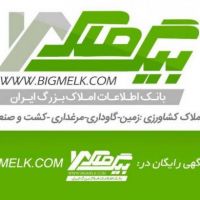 فروش زمین کشاورزی هکتاری مرغوب سرتاسر ایران Bigmelk.com