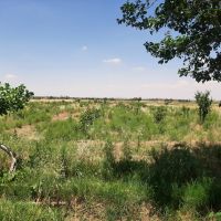 زمین کشاورزی سند دار با آب ۸ اینچ