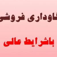 فروش گاوداری با امکانات کامل قزوین