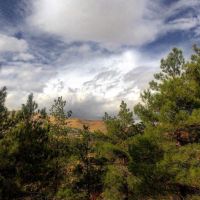 357 متر زمین فروشی لواسان کوچک