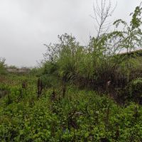 زمین مسکونی در شهر لنگرود با سند منگوله دار و کامل
