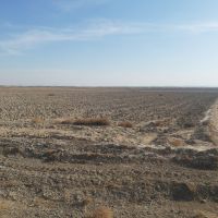 فروش 12 هکتارزمین کشاورزی در شرق اصفهان