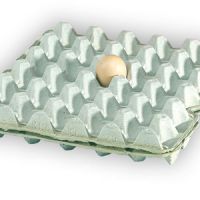 فروش کارخانه تولید شانه تخم مرغ