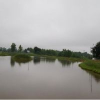 12500 متر زمین در رشت | گیلان، رشت