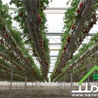 فروش گلخانه زیرکشت مجهز در صفا دشت | تهران