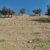 فروش زمین کشاورزی مناسب برای باغ و باغ ویلا