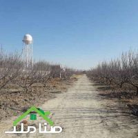 فروش باغ مناسب تفکیک در صفادشت کد1244