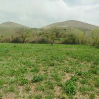 باغ روستایی