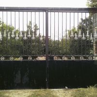 فروش باغ مرکبات وسیاه ریشه ۱۲ساله و خونه باغ