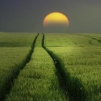 فروش زمین کشاورزی 6هکتار واقع در منطقه آزاد تجاری صنعتی مریو
