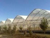 گلخانه فروشی در نظرآباد استان البرز-دارای سندیک حلقه چاه