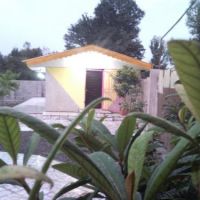 پرورش ماهی